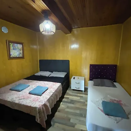 Amintas Hostel