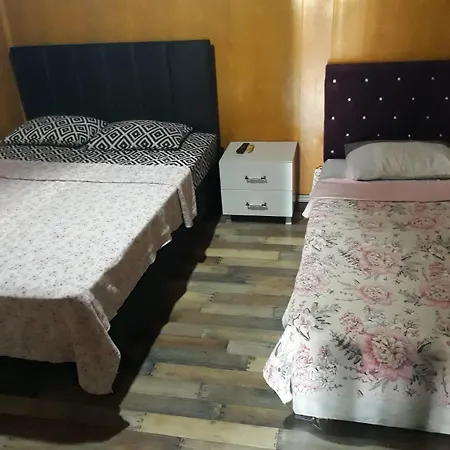 Hostel Amintas *