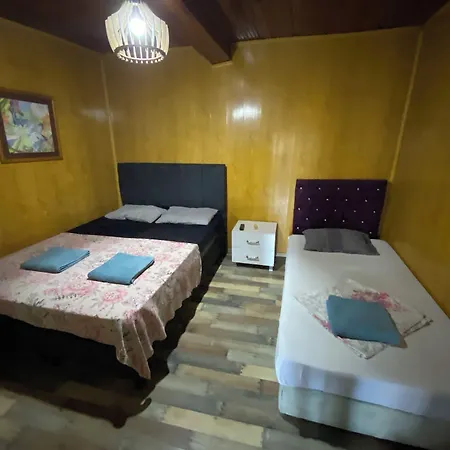 Hostel Amintas *